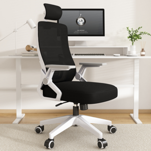 헤르티만 허리 편한 사무용 의자 컴퓨터 학생 메쉬 의자